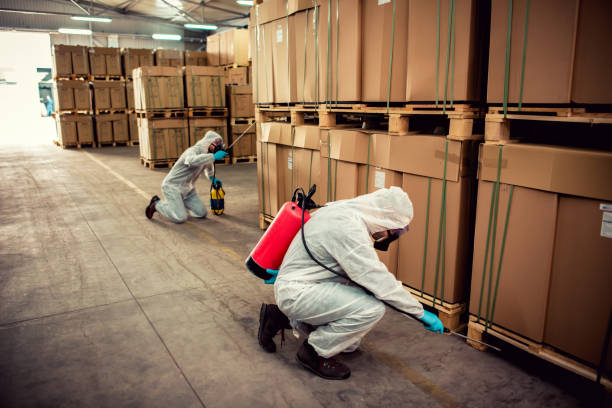Best Affordable Pest Control Services  in Hesston, KS
