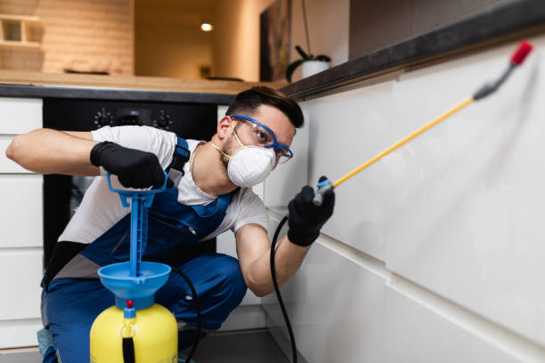 Best Ant Control Services  in Hesston, KS