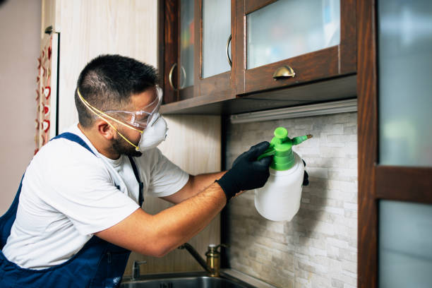 Best Pest Control Near Me  in Hesston, KS