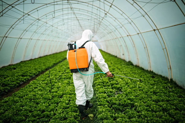 Best Pest Prevention Services  in Hesston, KS