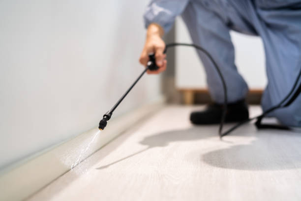 Pest Control for Restaurants in Hesston, KS