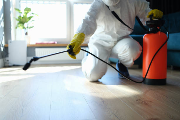 Best Residential Pest Control  in Hesston, KS