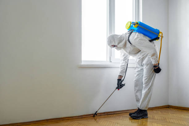  Hesston, KS Pest Control Pros