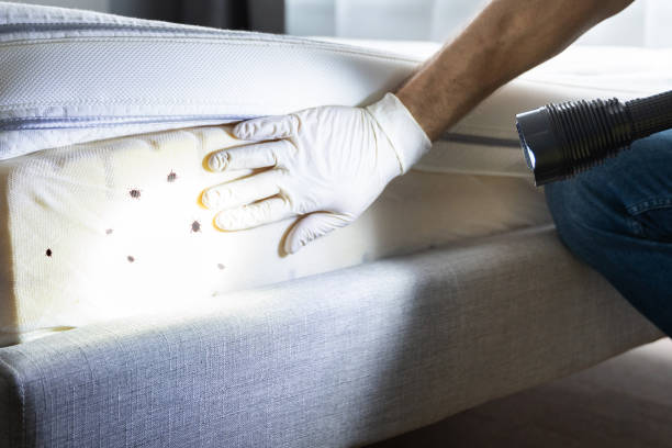 Best Pest Removal Services  in Hesston, KS