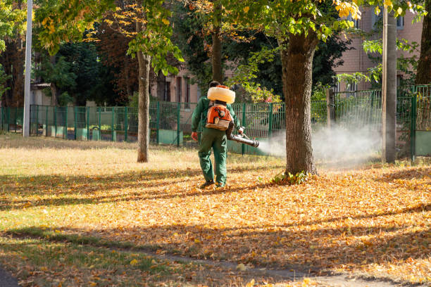 Professional Pest Control in Hesston, KS