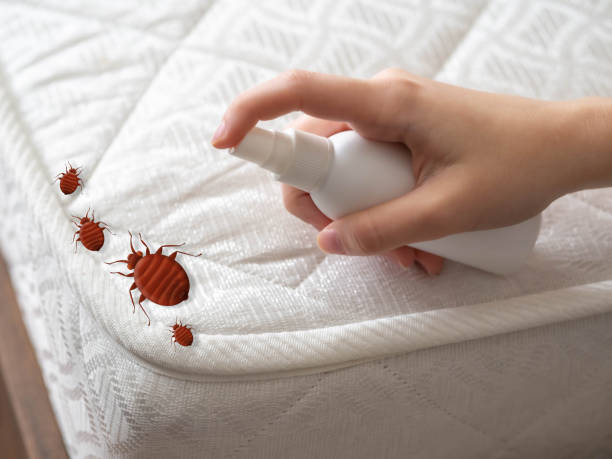 Best Commercial Pest Control Services  in Hesston, KS