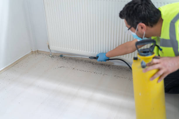 Best Mosquito Control Services  in Hesston, KS