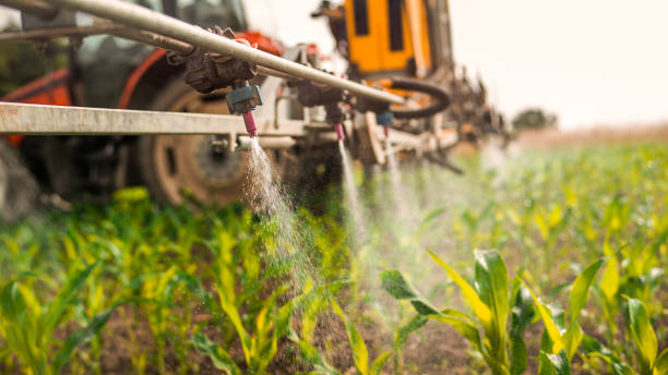 Pest Control Cost in Hesston, KS